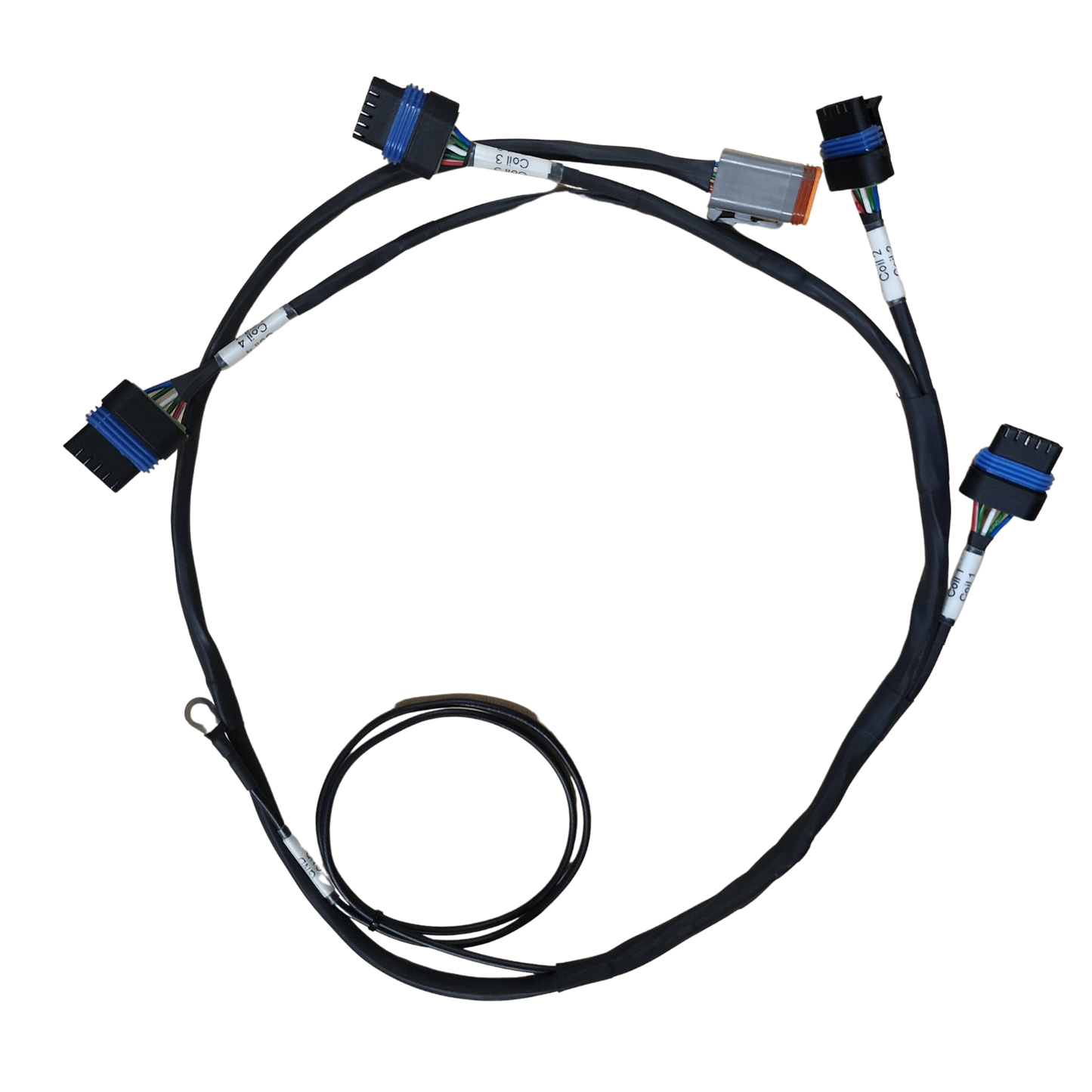 Coil Harness (IGN1A)